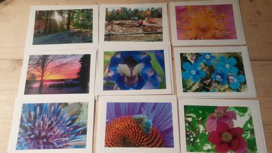 Photo greeting cards