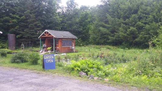 Welcome to the garden