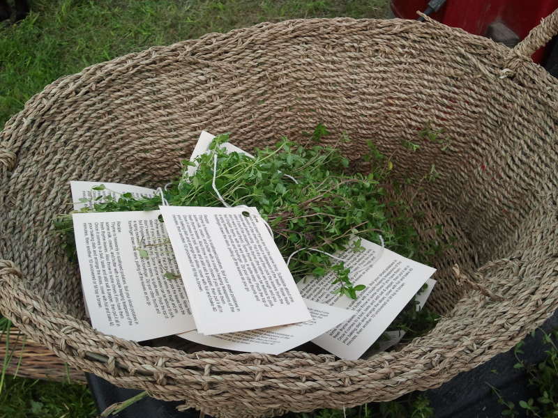 Herbs with recipes