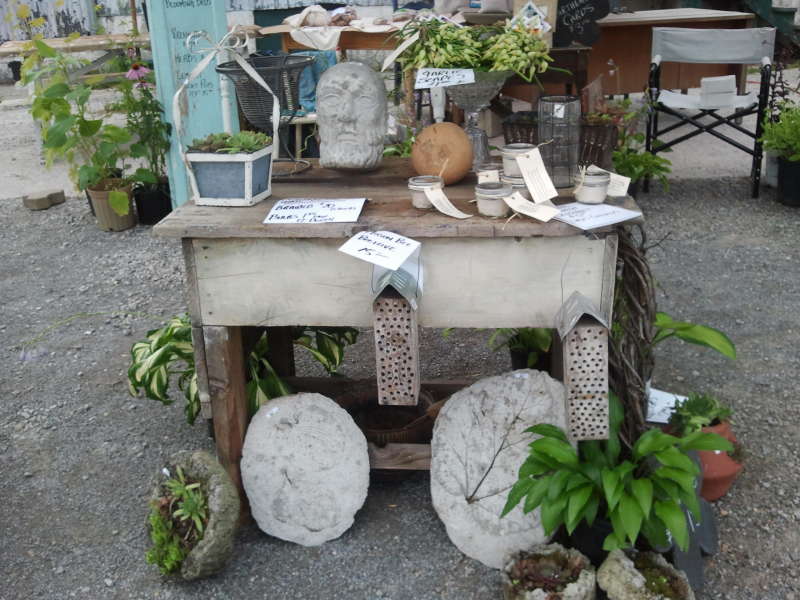 Cement stepping stones and peat pots