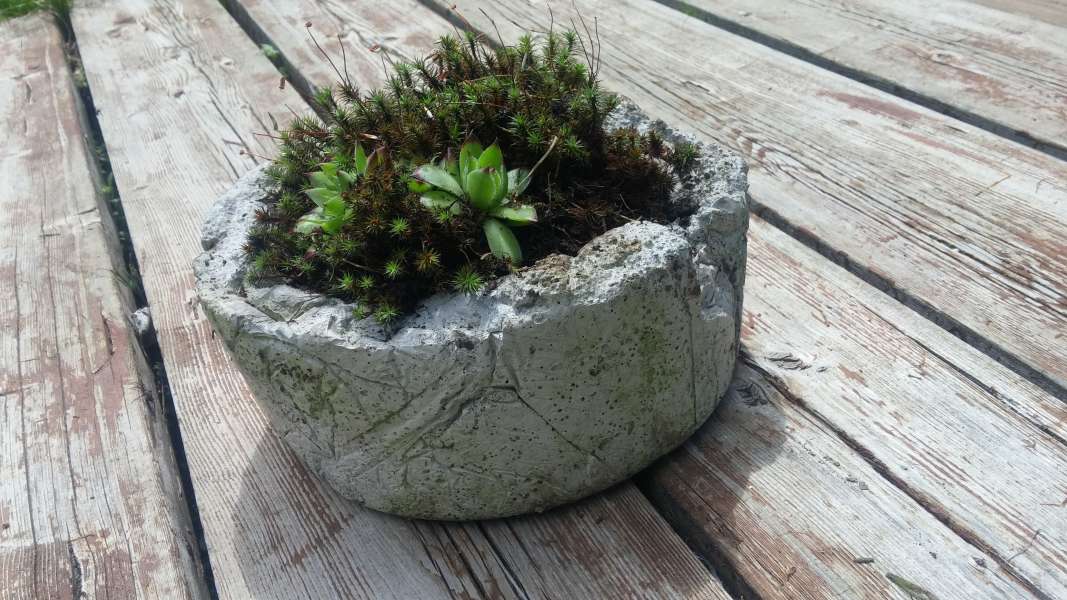 Peat cement pots $20