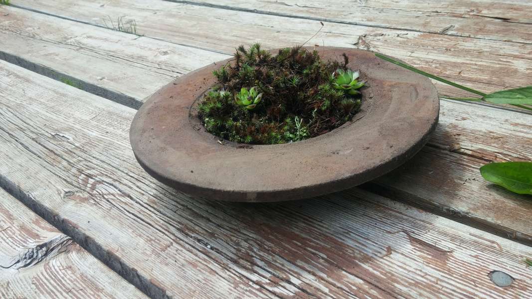 Rustic brake rotor garden $15