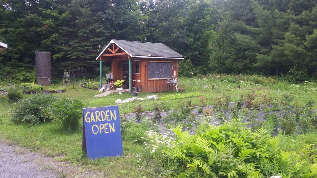 Welcome to the garden