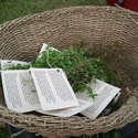 Herbs with recipes