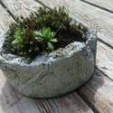 Peat cement pots $20