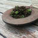 Rustic brake rotor garden $15