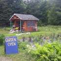 Welcome to the garden